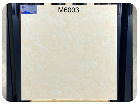 Gạch Viglacera Kt 60x60cm M6003